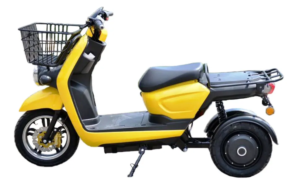 Dendou TR3 Delivery